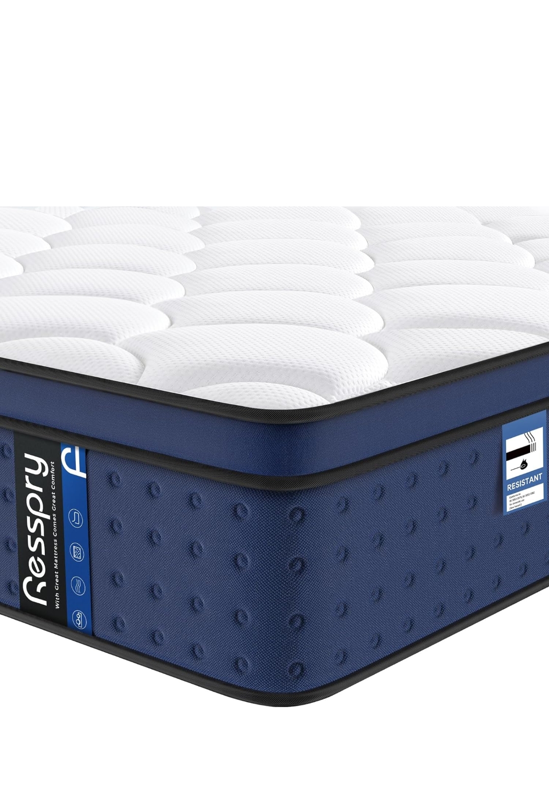 Read more about the article 