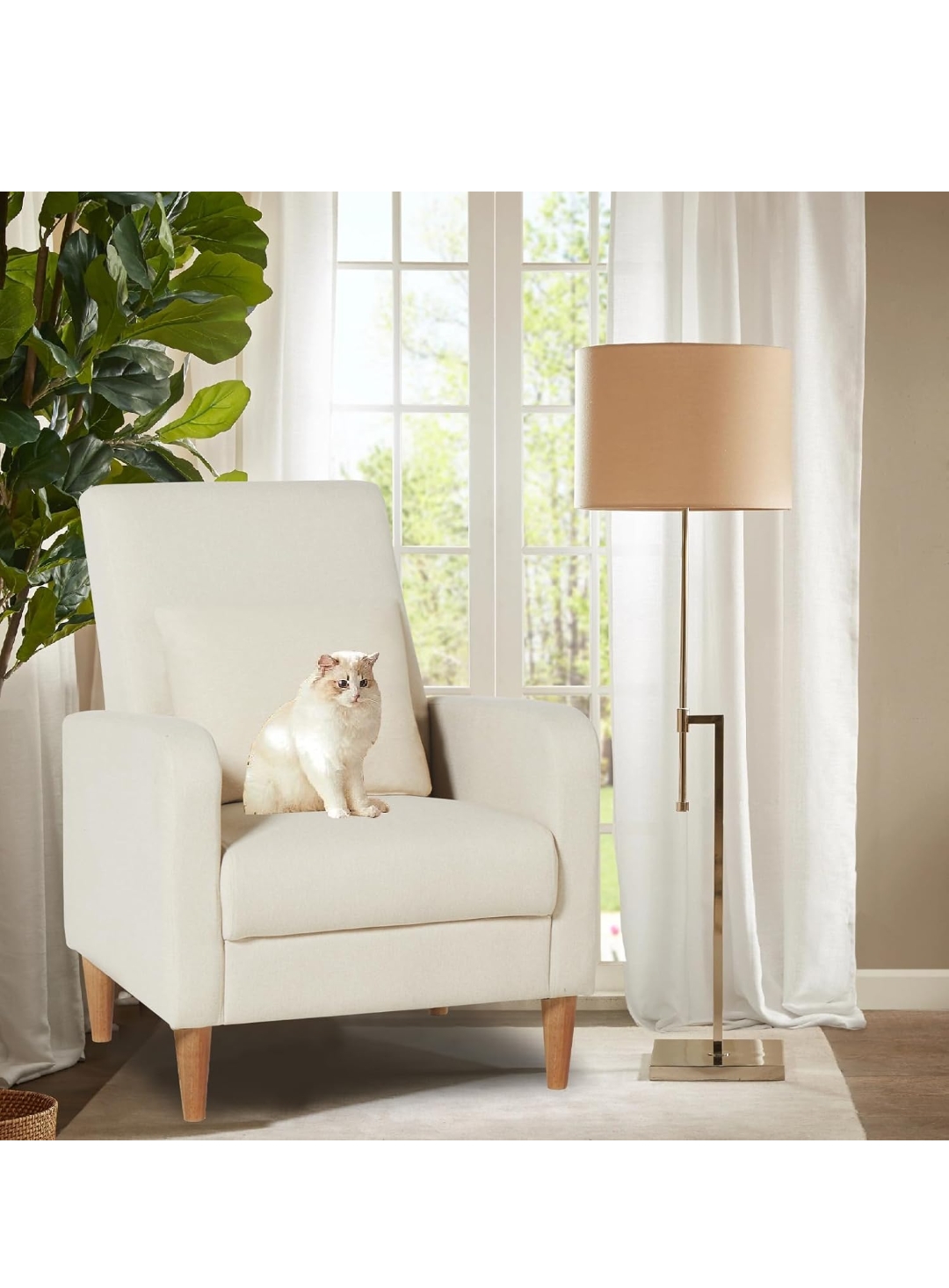 Read more about the article Colamy modern arm chair