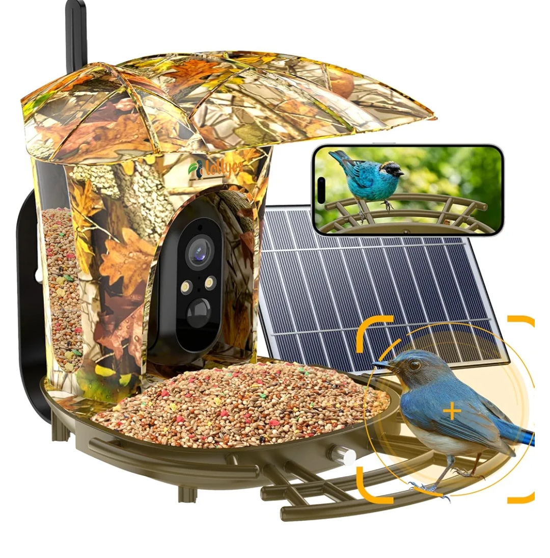 Read more about the article Bird feeder