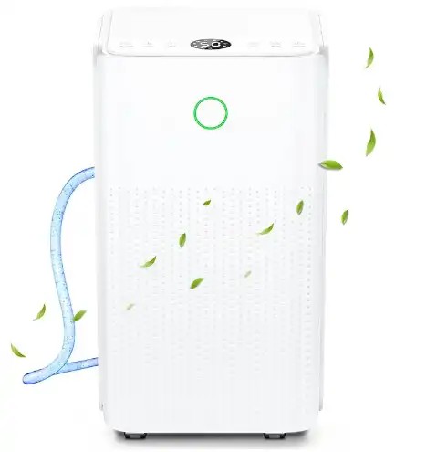 Read more about the article Dehumidifiers