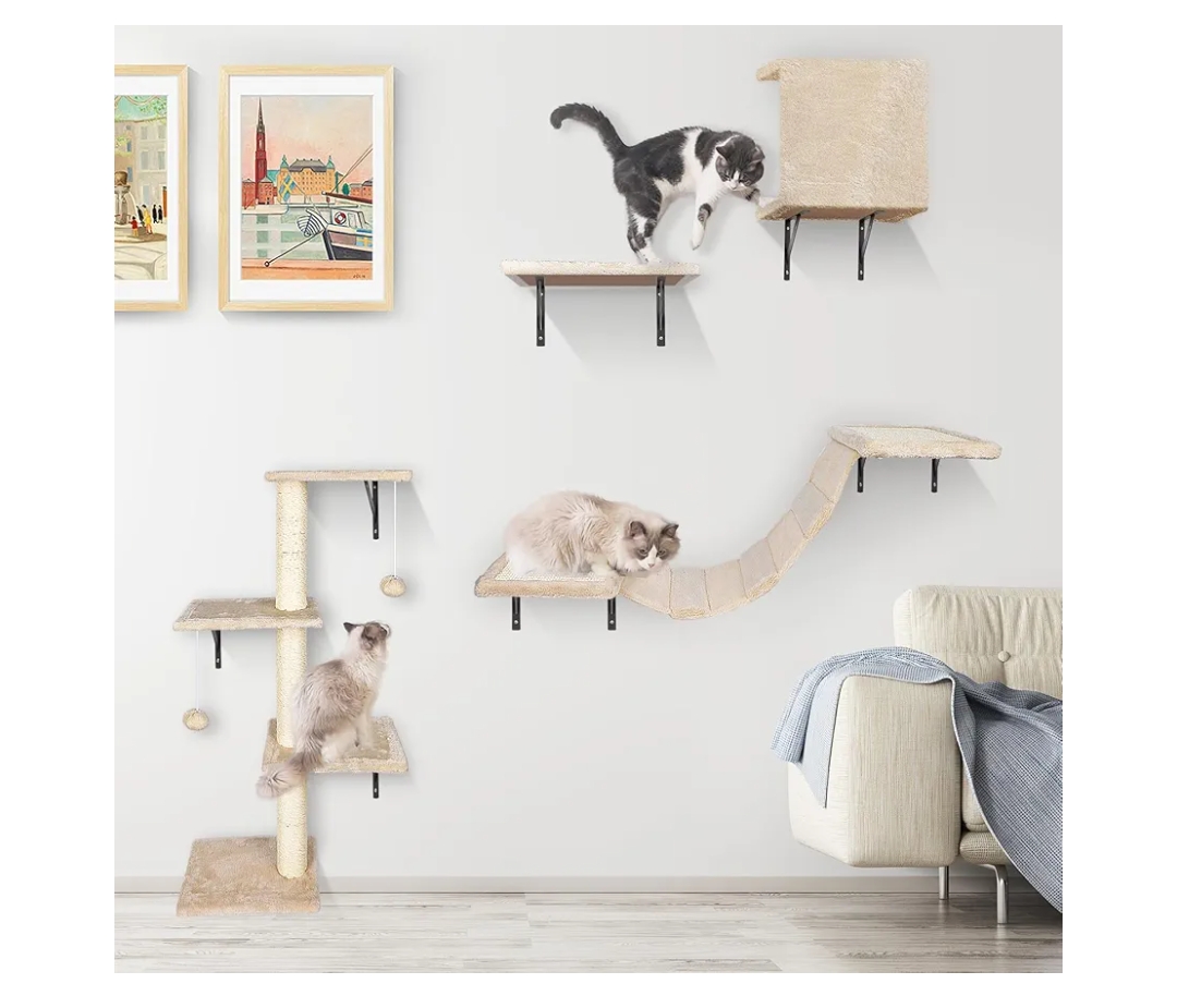 Read more about the article Cat wall shelves