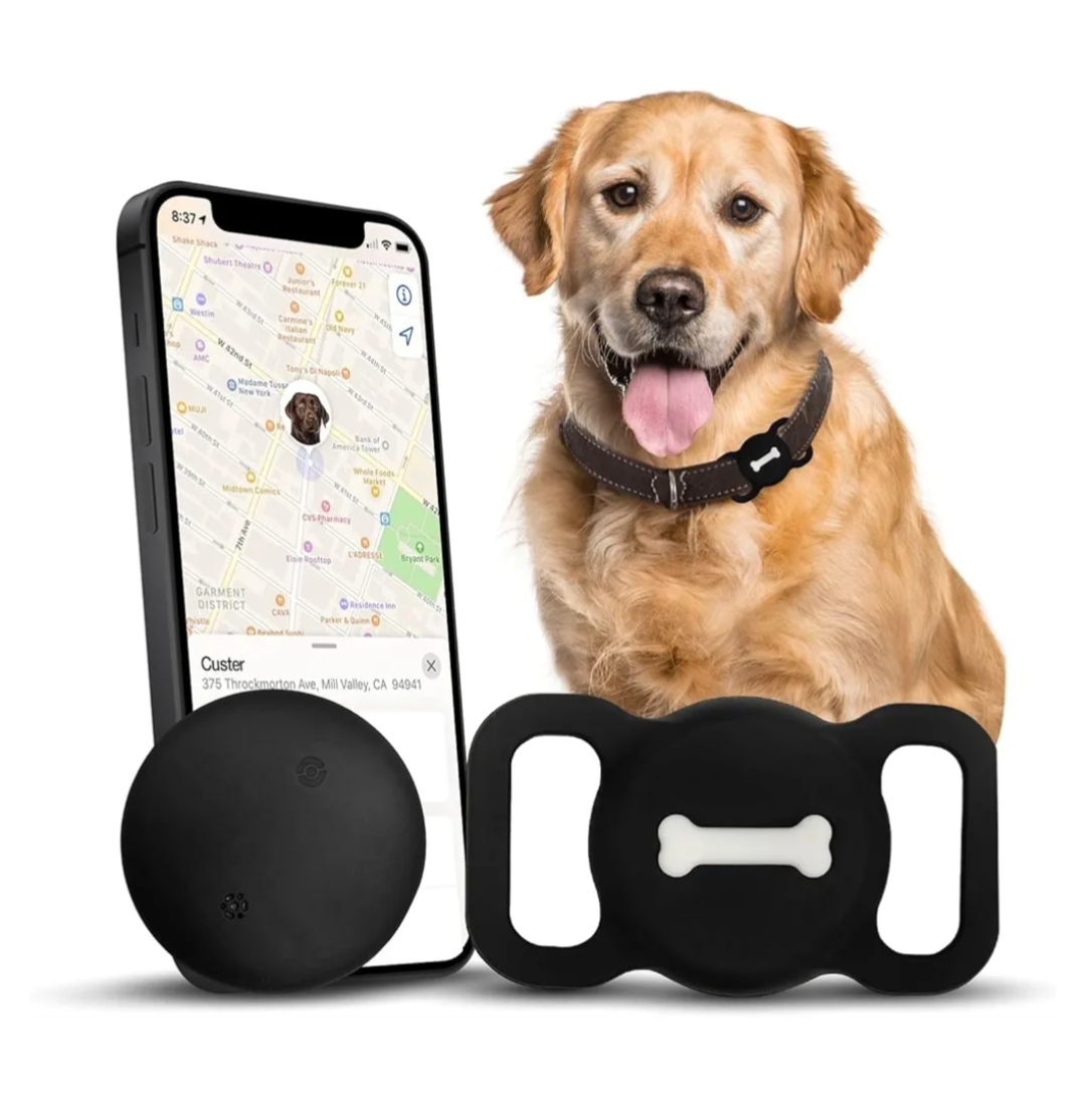 Read more about the article Dog tracker