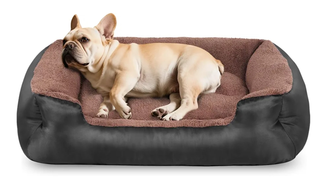 Read more about the article Pet sofa bed