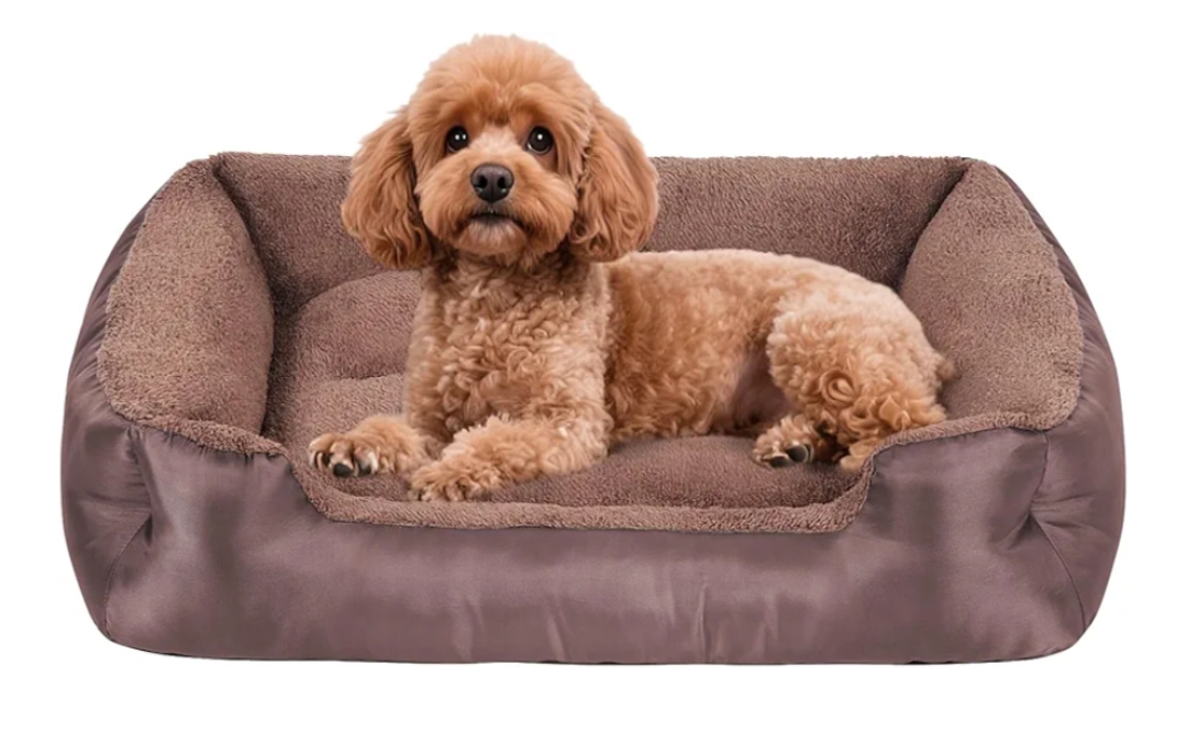 Read more about the article Washable dog beds