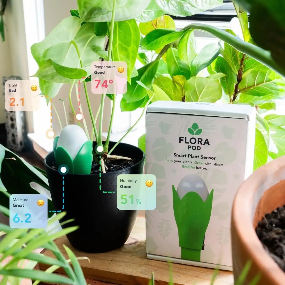 Read more about the article Flora pod smart plant monitor