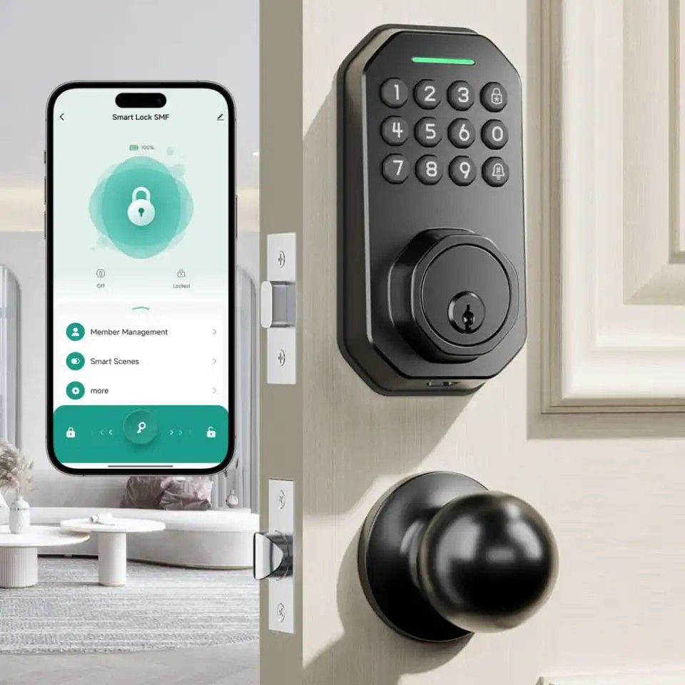 Read more about the article App controller door lock