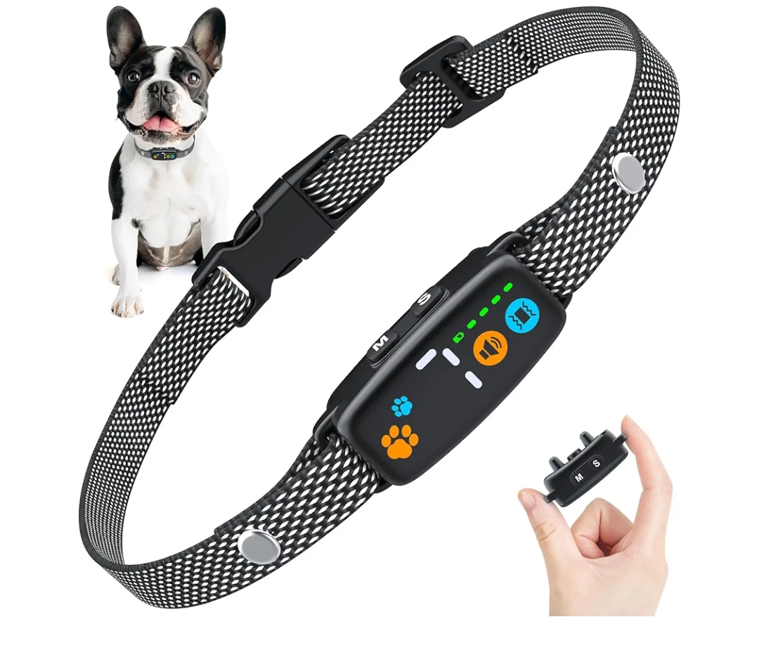 Read more about the article Bark collar dog