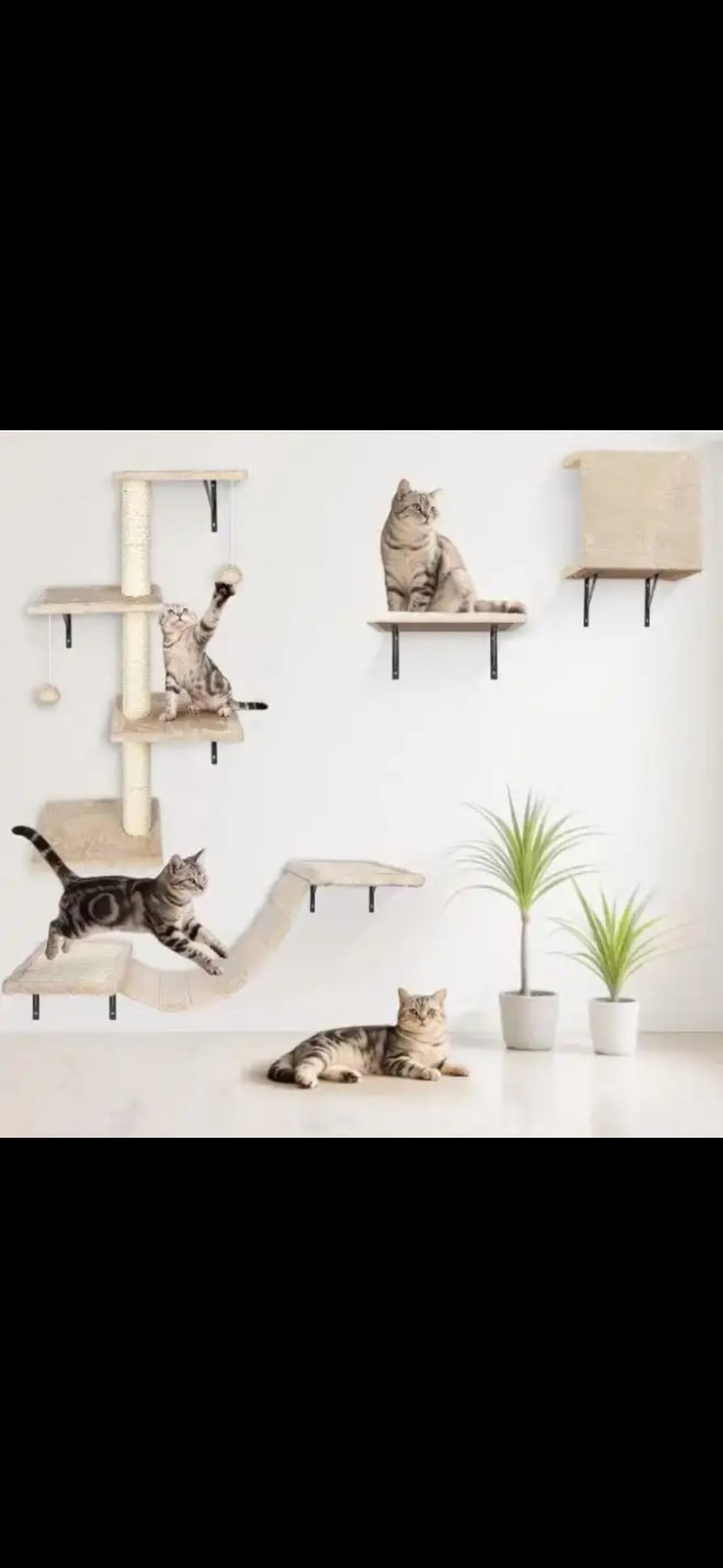 Read more about the article Cat wall furniture