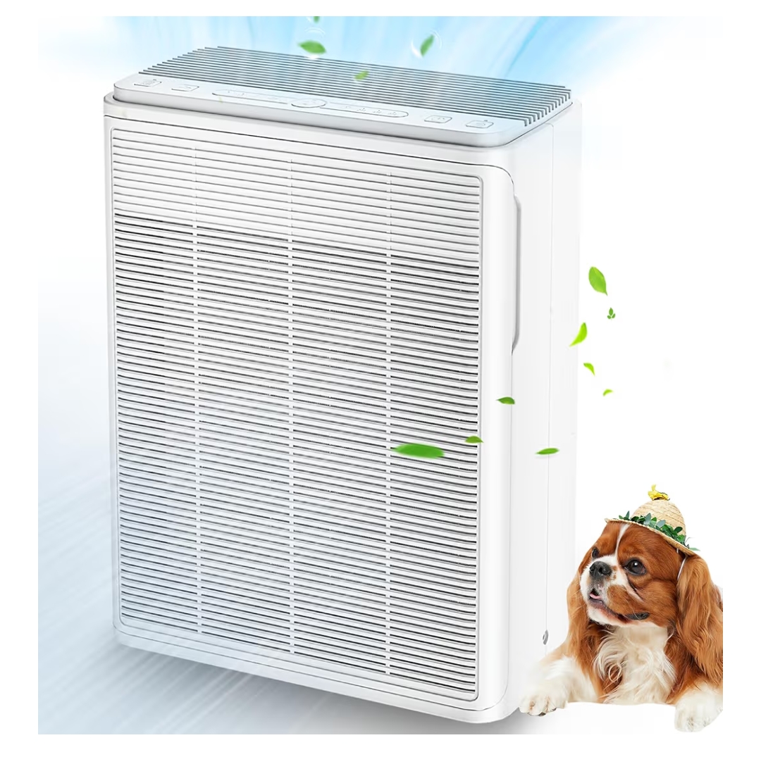 Read more about the article Air purifier