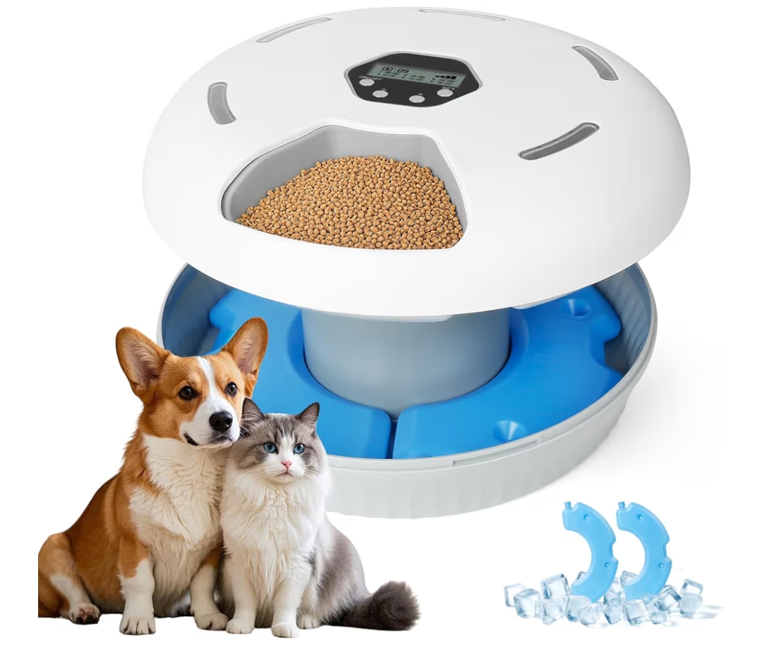 Read more about the article Automatic cat feeder