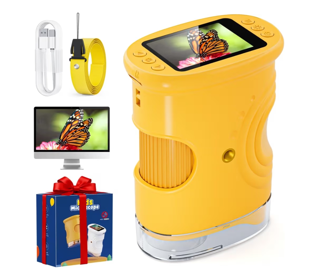 Read more about the article Microscope