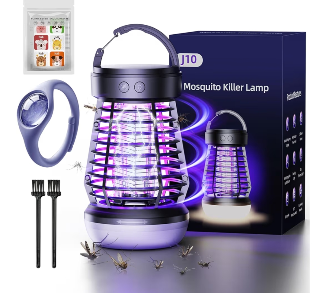 Read more about the article Electric fly zapper