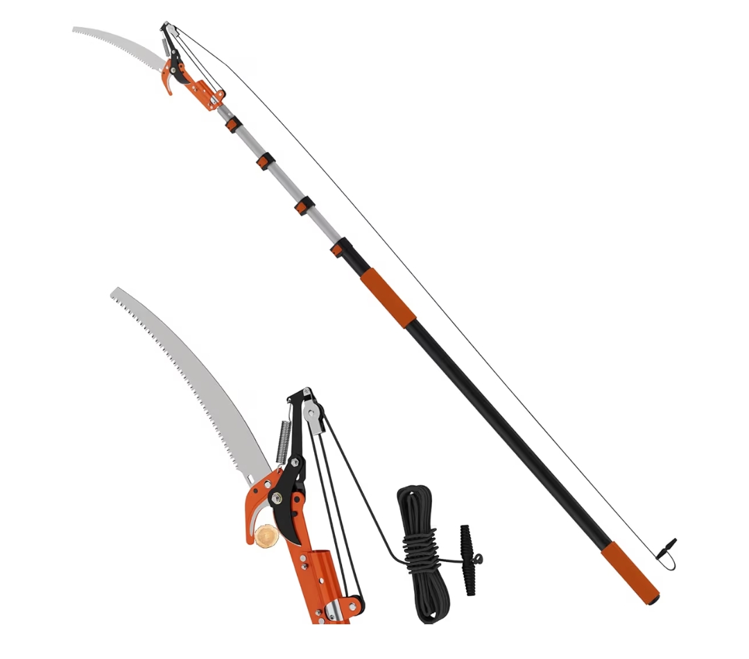 Read more about the article Tree purner