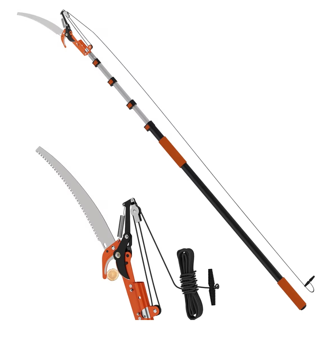 Read more about the article Tree purner