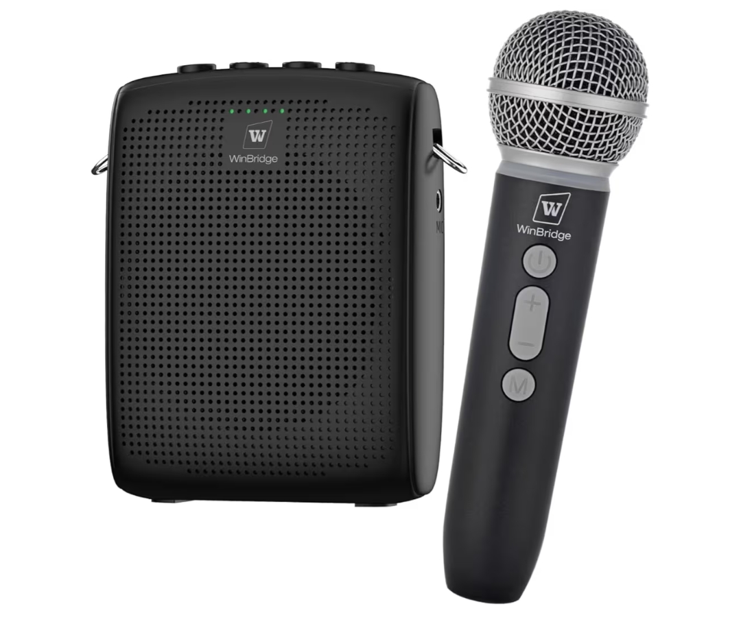 Read more about the article Voice amplifier