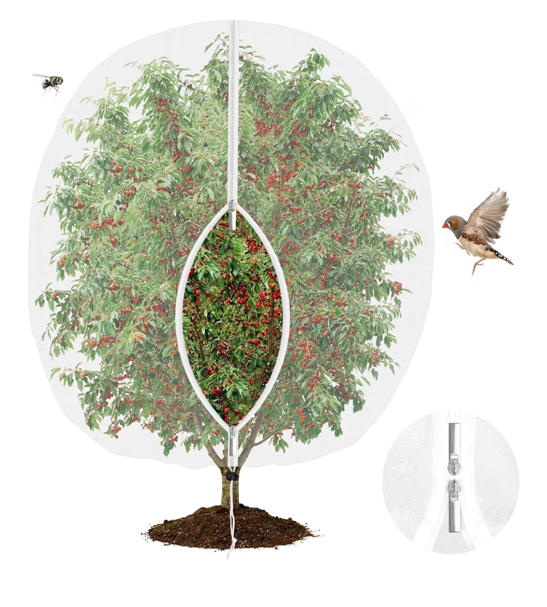 Read more about the article Fruit tree netting bird