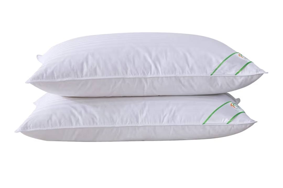 Read more about the article Luxury goose feather pillow